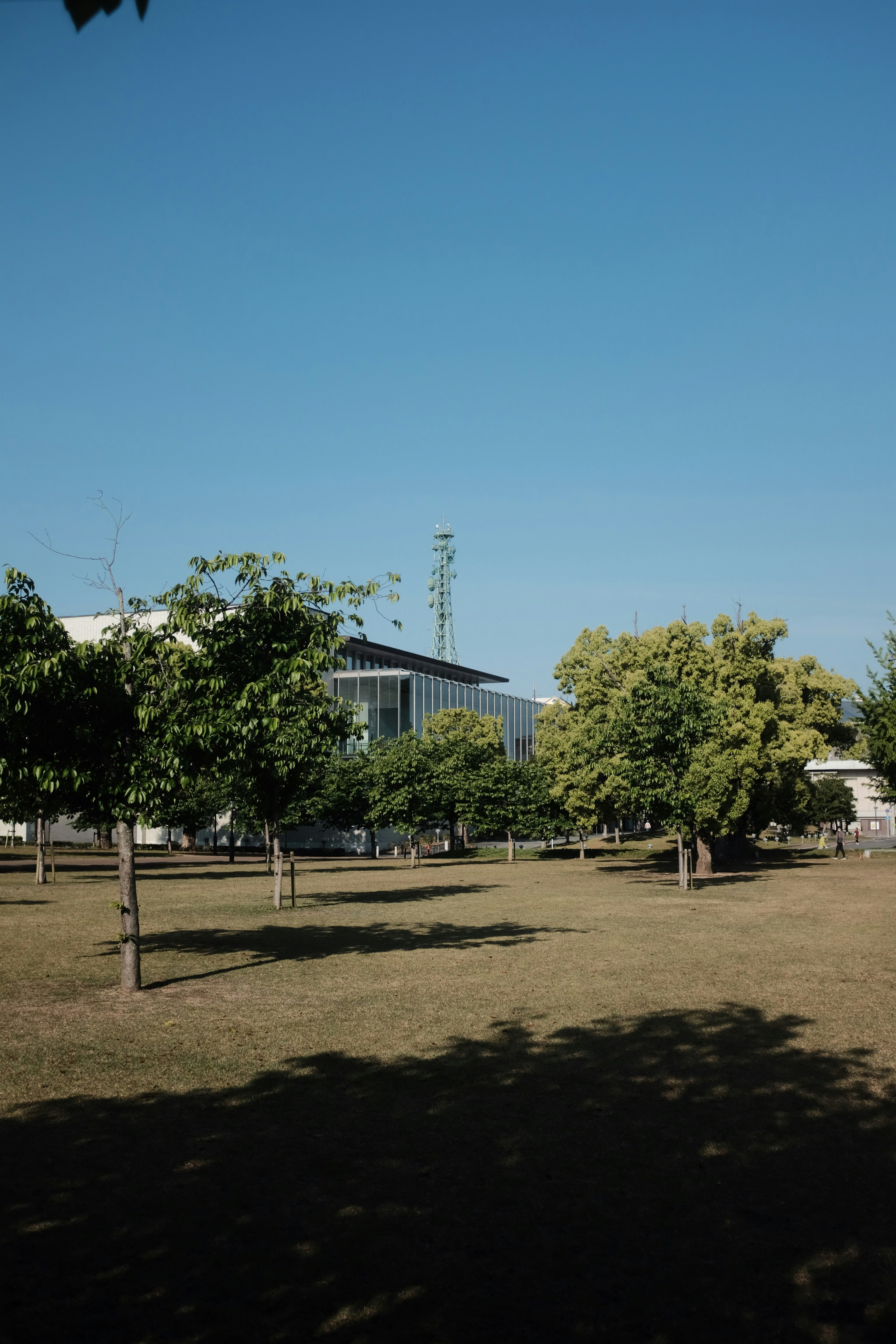 white concrete building near green trees under blue sky during daytime